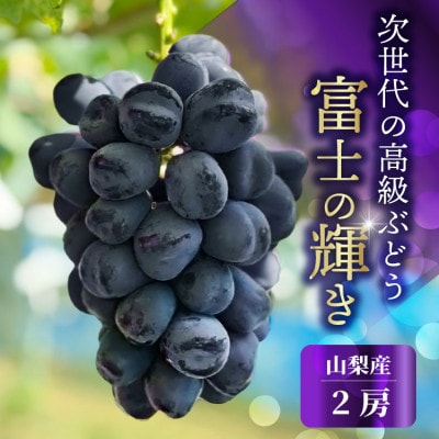 山梨市産 富士の輝き 大粒で高糖度の黒ぶどう 贈答用2房 化粧箱入り【配送不可地域：離島】【1724543】