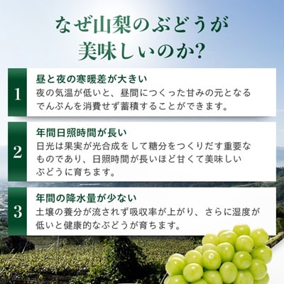 【先行受付 2026年発送】農林水産大臣賞受賞!!シャインマスカット 2房 1kg以上【配送不可地域：離島】【1143545】