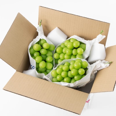 ã2026幎å
è¡åä»ã山梚åžç£ãã·ã£ã€ã³ãã¹ã«ãã(çš®ãªã)ã çŽ1.65kg (çŽ550gÃ3æ¿)ãé
éäžå¯å°åïŒé¢å³¶ã»æ²çžçãã1117302ã