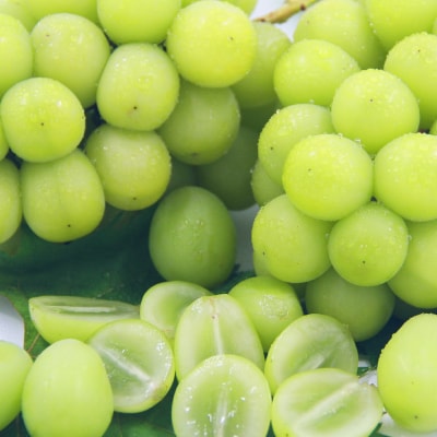 【2026年発送】シャインマスカット 約1kg 厳選!農家直送 シャインマスカット (2〜3房)【配送不可地域：離島】【1395545】