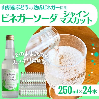 山梨産ぶどう100%の熟成ビネガーの、そのまま飲める「ビネガーソーダシャインマスカット24本セット」【1658353】