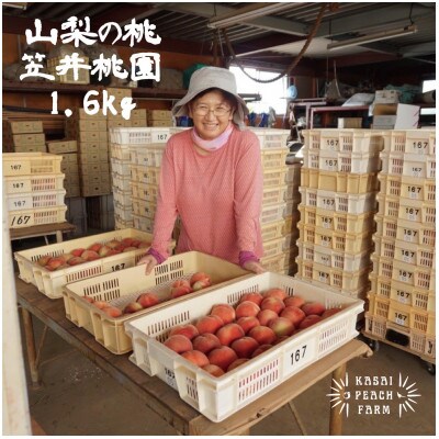 【2026年発送先行受付】厳選朝採り桃 山梨の笠井桃園の桃 1.6kg【配送不可地域：離島】【1456448】