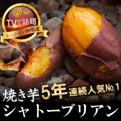 【糖度50度オーバー】100日熟成ギリギリまで糖化したシャトーブリアン焼き芋2027年2月中旬〜発送【1729205】