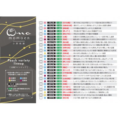 【まず出逢えない気品高い山加白桃】人気品種指定ギフト5年連続TV出演話題ブランド2026年7月下旬〜【配送不可地域：離島・北海道・沖縄県・中国・四国・九州】【1465316】