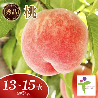 もも(13〜15玉)/100【配送不可地域：離島】【1299727】