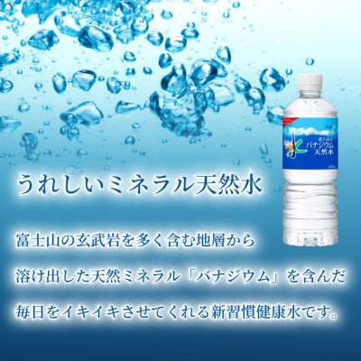 【毎月定期便】バナジウム天然水600ml【24本入】アサヒ飲料全3回　防災【4060649】
