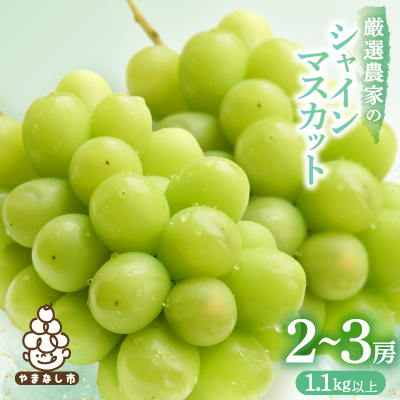 ã2026幎çºé å
è¡åä»ãã·ã£ã€ã³ãã¹ã«ãã 2~3æ¿ 1.1kgä»¥äž å±±æ¢šç£ãé
éäžå¯å°åïŒé¢å³¶ãã1274436ã