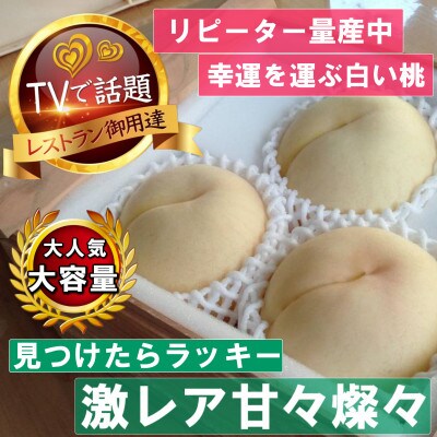 《激レア縁起深い白い桃の甘々燦々》人気品種指定ギフト5年連続TV出演話題ブランド2026年8月下旬〜【配送不可地域：離島・北海道・沖縄県・中国・四国・九州】【1465337】