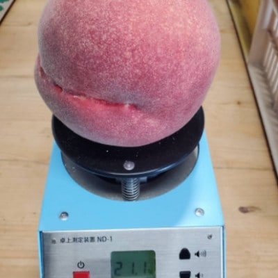 ããå®¶ã§äžæµã¬ã¹ãã©ã³åŸ¡çšéãæ¡éãåžããããå¹»ã®ã·ã£ããŒããªã¢ã³æ¡ã2026幎8æäžæ¬ããé æ¬¡çºéãé
éäžå¯å°åïŒé¢å³¶ã»åæµ·éã»æ²çžçã»äžåœã»ååœã»ä¹å·ãã1676994ã