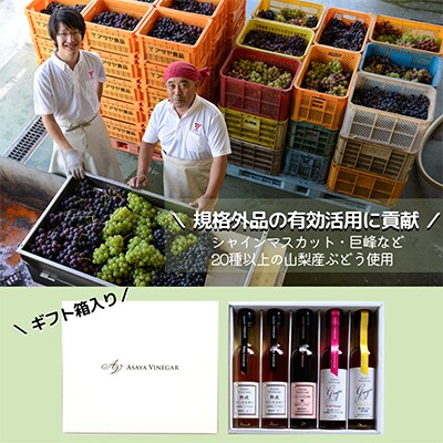 【蔵元直送】プロ御用達!ワインビネガー・バラエティ5本セット〜調味料&飲む酢〜 世界農業遺産認定地域【1115097】