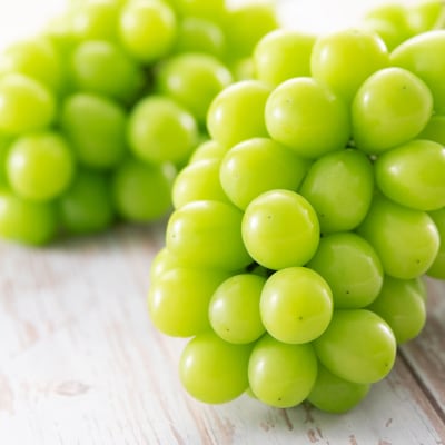 ã2026幎å
è¡åä»ã山梚åžç£ãã·ã£ã€ã³ãã¹ã«ãã(çš®ãªã)ã çŽ1.65kg (çŽ550gÃ3æ¿)ãé
éäžå¯å°åïŒé¢å³¶ã»æ²çžçãã1117302ã