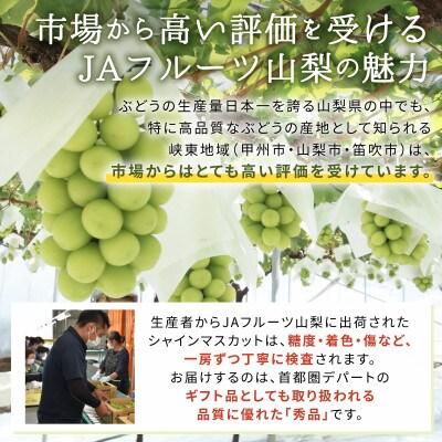 シャインマスカット(8房)【配送不可地域：離島】【1300099】