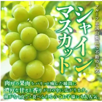 【発送月固定定期便】桃3玉(1kg)　シャインマスカット1房(500g以上)全2回【配送不可地域：離島】【4067604】