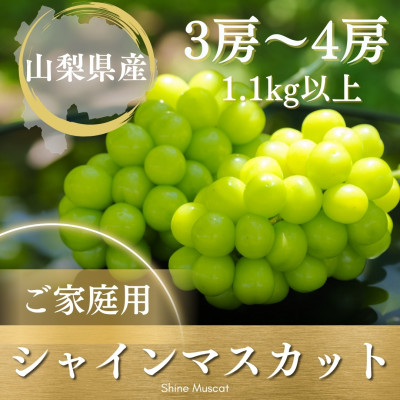 【2026年発送 先行受付】ご家庭用シャインマスカット 3房〜4房1.1kg以上 山梨県 山梨市産【配送不可地域：離島】【1535964】