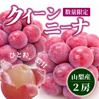 【数量限定】希少!赤い宝石　『クイーンニーナ』　2房　山梨のぶどう　クインニーナ【配送不可地域：離島・沖縄県】【1041056】