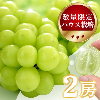 【数量限定】6月下旬〜7月中旬発送ハウス栽培の『シャインマスカット』 2房　約1kg【配送不可地域：離島・沖縄県】【1041839】
