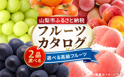 後からゆっくり選べる!フルーツカタログ2品選べる『プレミアムギフトカタログ』桃 シャインマスカット【1114876】