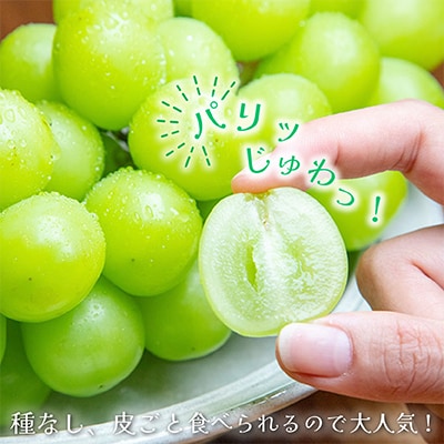 2026年発送 山梨県産 シャインマスカット 約2.5kg(4〜6房) 山梨が誇る 人気果物【配送不可地域：離島・沖縄県】【1272527】