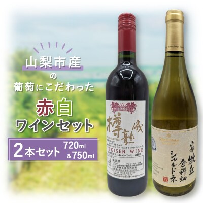 【山梨市産】赤白ワインセット(5)【1490200】