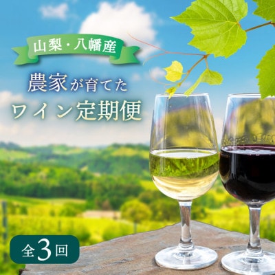 【毎月定期便】山梨 八幡洋酒 白ワイン 赤ワイン 飲み比べ 定期便 ぶどう農家全3回【4082278】