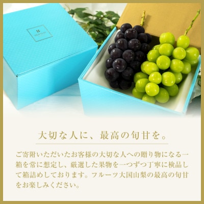 【2026年発送先行受付】山梨県山梨市産　旬の採れたてピオーネ　約1kg　2〜3房【配送不可地域：離島】【1459463】