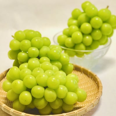 【2026年先行受付】訳あり!生産者直送シャインマスカット 計1kg【味には妥協なし!】【配送不可地域：離島】【1681114】