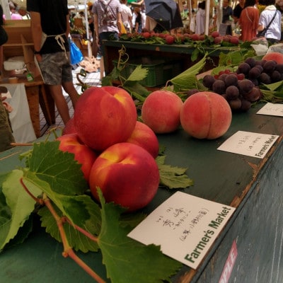 【選ばれし上位5%】海外セレブも取り寄せる糖度16度以上樹上完熟ブランド桃2026年7月下旬発送【配送不可地域：離島・北海道・沖縄県・中国・四国・九州】【1464206】