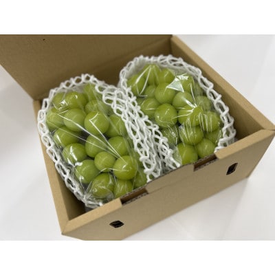 【2026年先行受付】大人気!シャインマスカット秀 1kg(2房)【配送不可地域：離島】【1546294】