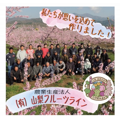 《2026年発送　先行受付》桃 『白鳳系』 約2kg 5〜8玉 朝もぎ直送! 選び抜かれた桃【配送不可地域：離島】【1275881】