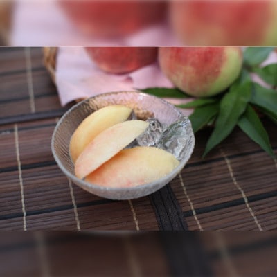 ã2026幎å
è¡äºçŽãå³éž!æ¬ã®æ¡ãçŽ3kg(7çã12ç)ãé¢å³¶ã»æ²çžé
éäžå¯ããé
éäžå¯å°åïŒé¢å³¶ã»æ²çžçãã1395535ã