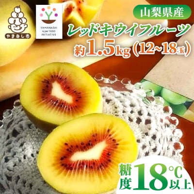 【2026発送】レッドキウイフルーツ化粧箱入り　産地直送約1.5kg(12〜18玉)【配送不可地域：離島】【1178165】