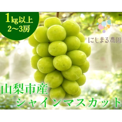【2026年発送】シャインマスカット 2〜3房 (約1kg) 山梨県山梨市産のフルーツ【配送不可地域：離島・沖縄県】【1726268】