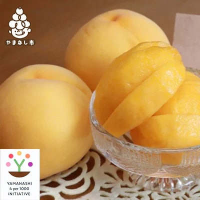 【2026発送予定】黄金桃　農家朝どり直送特選桃　4〜6玉入り　2kg以上【配送不可地域：離島】【1178166】