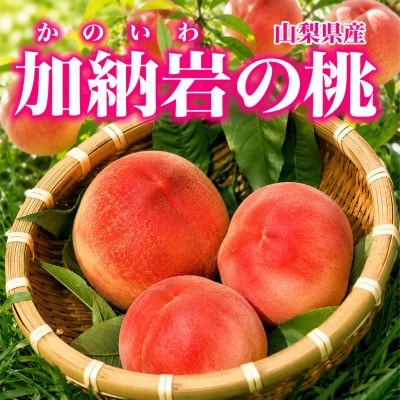 【山梨県山梨市産】加納岩の桃 旬のおまかせ 1kg(3玉)贈答用 〜世界農業遺産地域からお届け〜【配送不可地域：離島・沖縄県】【1739290】