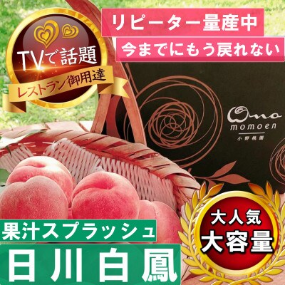 【果汁スプラッシュ日川白鳳】人気品種指定ギフト5年連続TV出演話題ブランド桃2026年6月下旬発送【配送不可地域：離島・北海道・沖縄県・中国・四国・九州】【1465185】