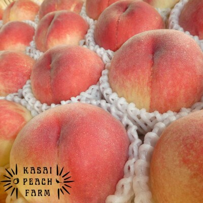 ã2026幎çºéå
è¡åä»ãå³éžææ¡ãæ¡ å±±æ¢šã®ç¬ äºæ¡åã®æ¡ çŽ5kgãé
éäžå¯å°åïŒé¢å³¶ãã1587434ã