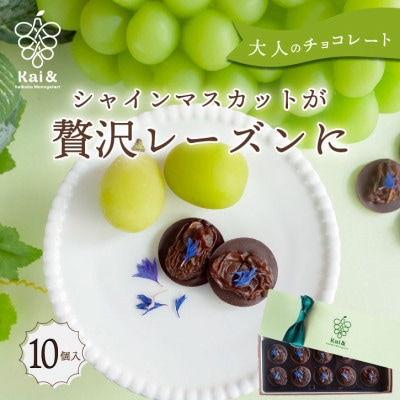 シャインマスカットレーズンのチョコレートマンディアン 10個入 山梨県産シャインマスカット使用【1697053】