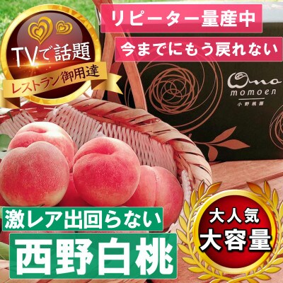 《市場に出回らないレアな西野白桃》人気品種指定ギフト5年連続TV出演話題ブランド2026年7月中旬発【配送不可地域：離島・北海道・沖縄県・中国・四国・九州】【1465270】