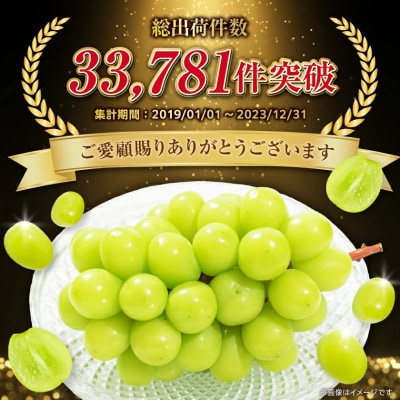 2026年度先行予約 フルーツ王国山梨 厳選 シャインマスカット 6〜8房(約4kg) 2kg×2箱【配送不可地域：離島】【1632338】