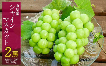 ã2026幎çºé å
è¡åä»ãã·ã£ã€ã³ãã¹ã«ãã 2æ¿ (çŽ1kg) 山梚çç£ãã«ãŒã 人æ°ã®ã¶ã©ããé
éäžå¯å°åïŒé¢å³¶ã»æ²çžçãã1017347ã