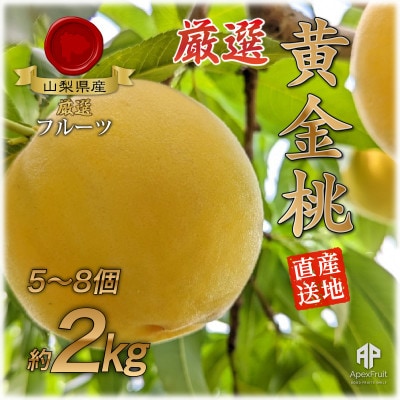 【2026年先行予約】山梨市産　黄金桃　約2kg(5〜8玉)【配送不可地域：離島】【1431879】