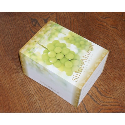 【2026年先行予約】ハウス栽培7月出荷シャインマスカット(2房約800g)世界農業遺産認定地特産【配送不可地域：離島】【1296283】