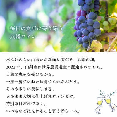 ãæ¯æå®æäŸ¿ã山梚 å
«å¹¡æŽé
çœã¯ã€ã³ èµ€ã¯ã€ã³ é£²ã¿æ¯ã¹ å®æäŸ¿ ã¶ã©ã蟲家å
š3åã4082278ã