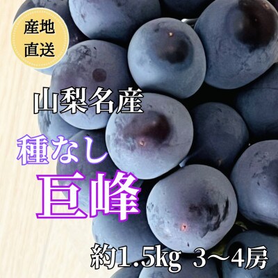 ◆2026年発送◆産地直送 山梨名産!種なし巨峰 3〜4房(約1.5kg)【配送不可地域：離島】【1644827】