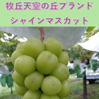 【2026年先行予約】2026年10月上旬発送「牧丘天空の丘シャインマスカット」約1kg(2〜3房)【配送不可地域：離島・沖縄県】【1473189】