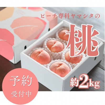 先行受付!【2026年7月発送開始】もも農家ヤマシタ　桃の産地山梨から直送　2kg　【配送不可地域：離島】【1707797】
