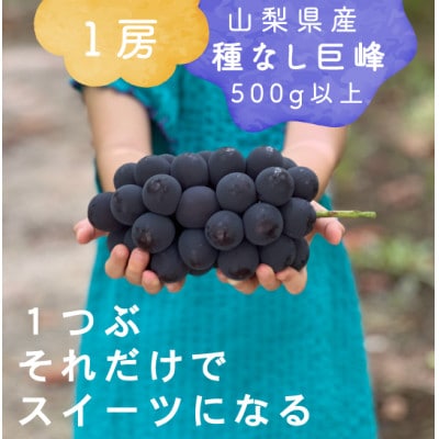 【2026年発送分先行受付】巨峰ぶどう(種なし) 1房500グラム以上 産地直送 山梨県山梨市牧丘産【配送不可地域：離島・沖縄県】【1535989】