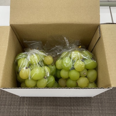 【2026年発送】【訳あり】山梨市産シャインマスカットつぶつぶ 1kg【配送不可地域：離島・沖縄県】【1697582】