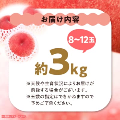 縲2026蟷エ逋コ騾√ 譯 邏3kg (8邇峨12邇) 蜴ウ驕ク ! 豎逕ー髱呈棡縺ョ 繧ゅb縲宣埼∽ク榊庄蝨ー蝓滂シ夐屬蟲カ繝サ豐也ク逵後代1280521縲