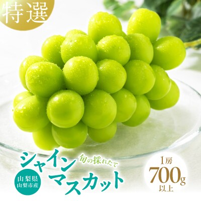 【2026年発送先行受付】山梨県山梨市産　特選　旬の採れたてシャインマスカット1房　(700g以上)【配送不可地域：離島】【1134844】